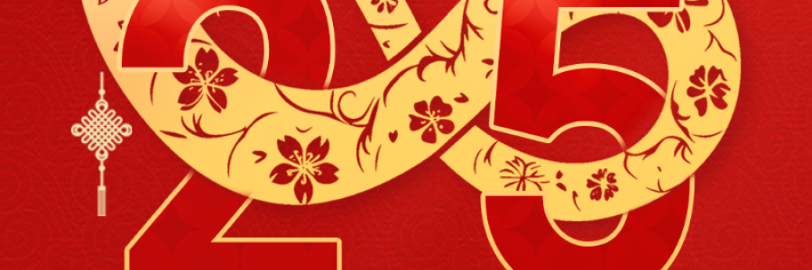 藍(lán)美視訊:迎新年存希望，元旦存儲(chǔ)新風(fēng)尚